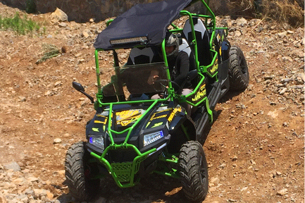 Vitacci Predator FX400 XL - 4 SEATS (NEW) - Image 6