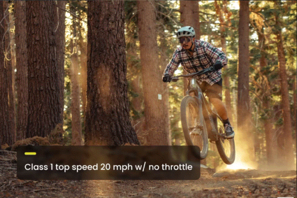 Ramblas eMTB (Step Over) - Image 11